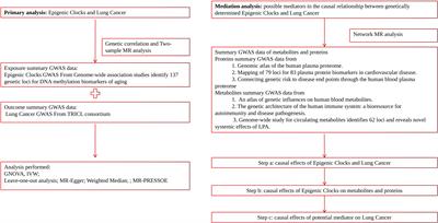 Using proteomics and metabolomics to identify therapeutic targets for senescence mediated cancer: genetic complementarity method